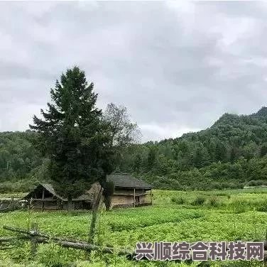 桃源深处有人家，悟证七日攻略详解与第七关攻略揭秘