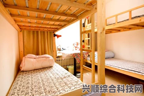 环行旅舍克莱提卡与长安角色强度深度对比解析