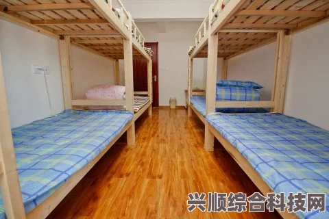 环行旅舍克莱提卡与长安强度对比