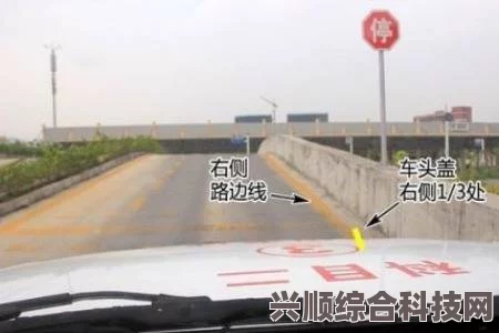 逆水寒手游染发指南，轻松学会染发技巧与步骤