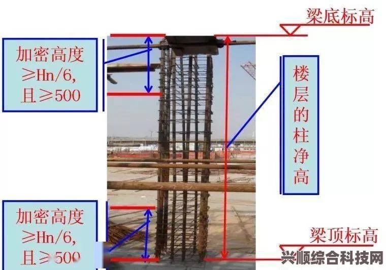逆水寒手游染发攻略，轻松掌握染发技巧与步骤