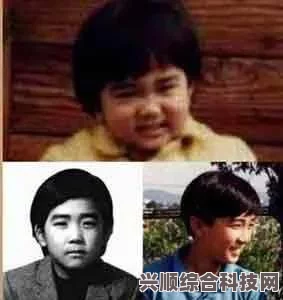 刘亦菲荣膺首尔电视剧大赏最佳女主角提名，演技与影响力的双重肯定