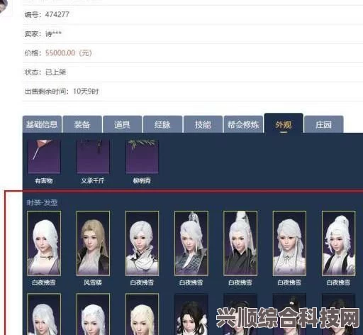 逆水寒手游账号注册角色数量详解，注册次数与角色数量探讨