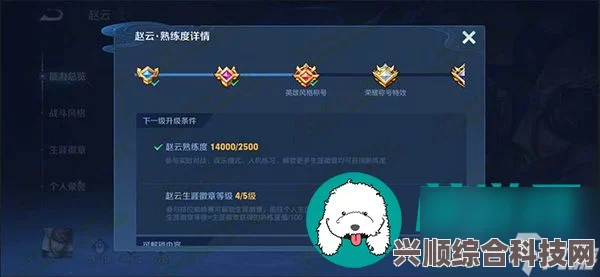 王者荣耀生涯徽章等级查看方法与攻略解析指南