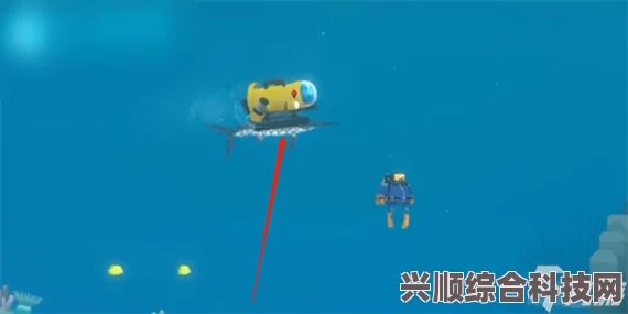 潜水员戴夫海鳗捕捉攻略详解与问答汇总