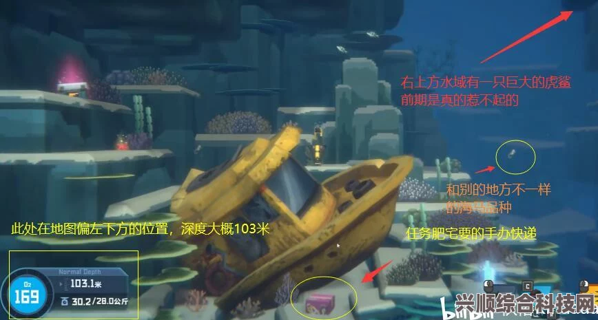 潜水员戴夫海鳗捕捉攻略及问答环节