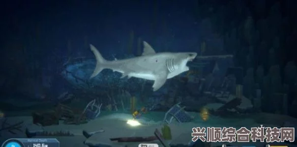 深海探险揭秘，戴夫三齿鲨隐藏位置探索之旅