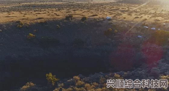 潜水员戴夫游戏中的麦克风位置详解