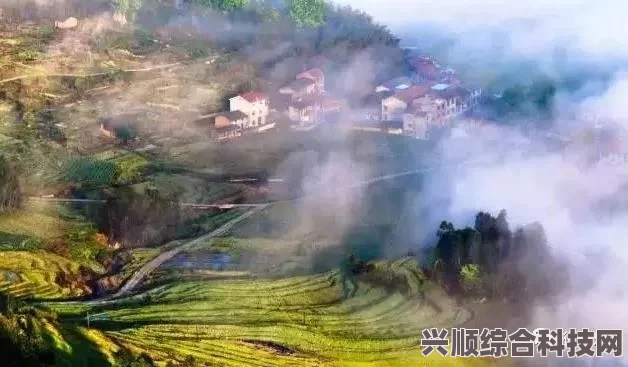 桃源深处有人家仿云璃水镜布局攻略，打造梦幻般的仙境家园