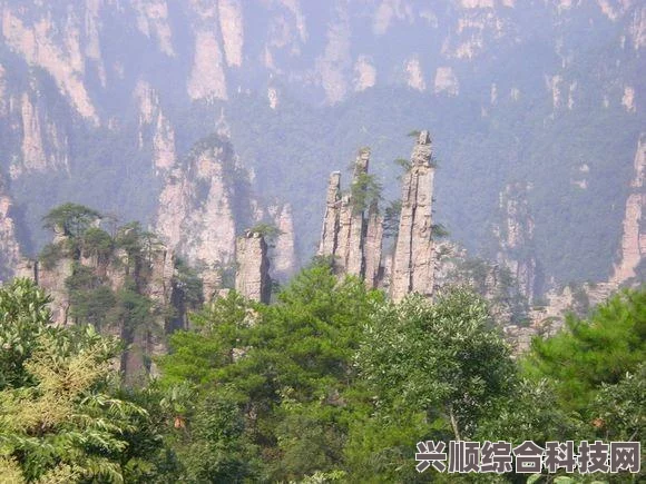 超侦探事件簿雾雨迷宫的媒体评分及评价介绍