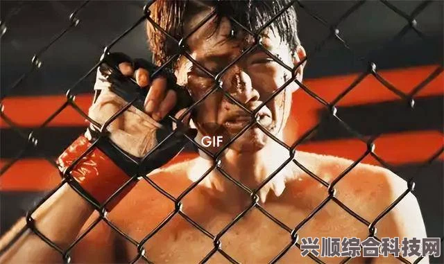 揭秘八角笼中的真相，事件原型与背后故事探究