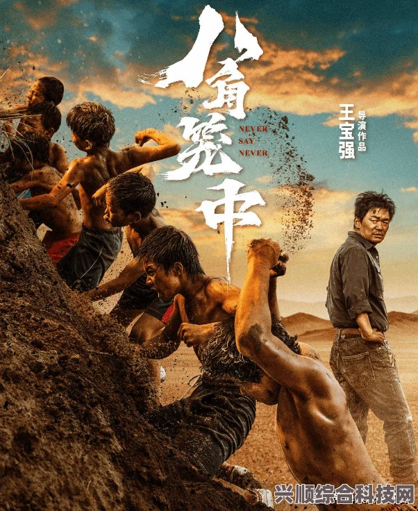 揭秘八角笼中的真实事件原型，探寻背后的故事与意义
