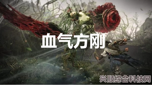 卧龙苍天陨落，典韦中原逐鹿之打法详解攻略