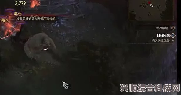 暗黑破坏神4自我问题任务攻略详解与互动问答环节