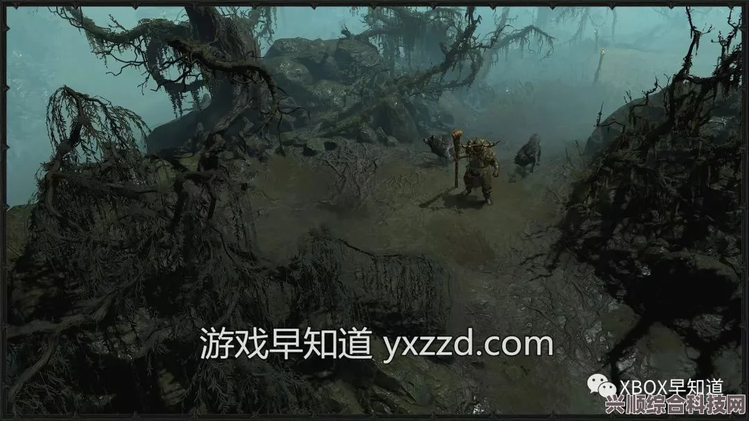暗黑破坏神4自我问题任务攻略详解及问答环节