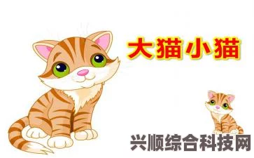 老猫游戏汉化教程，详细步骤与使用指南