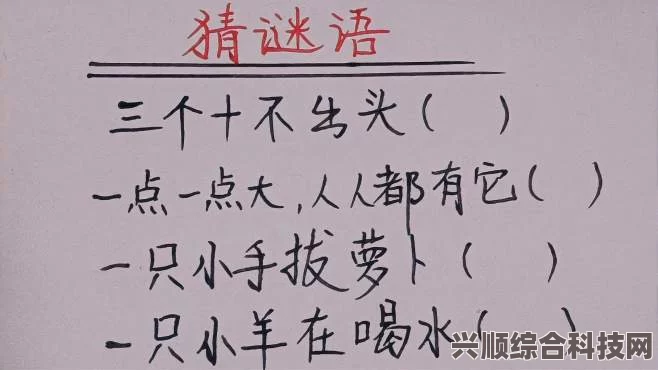 经典谜题探寻之旅，萝卜谜语与智慧解答的探险