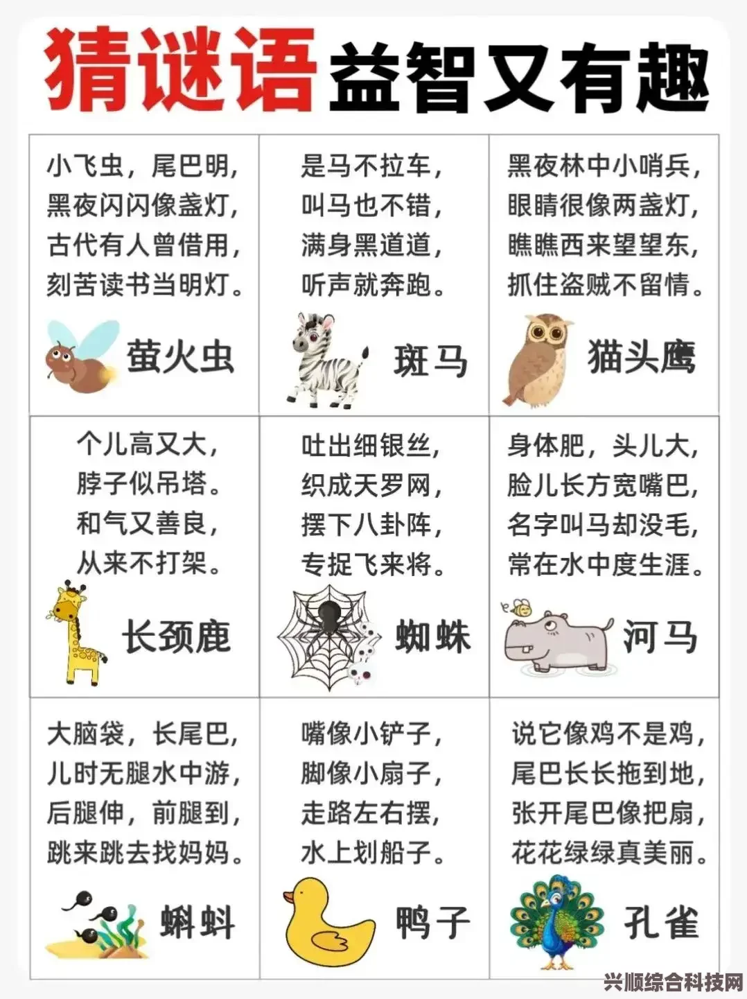 探寻经典出处与解答萝卜谜语的智慧之旅