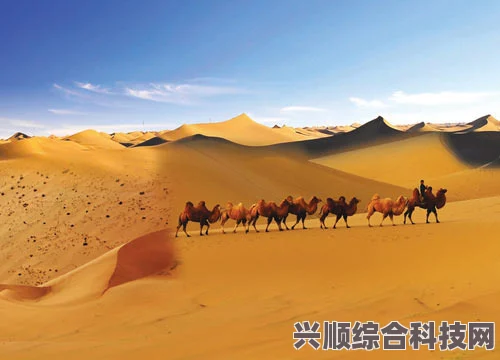 塔克拉玛干的极致干燥，沙漠之谜