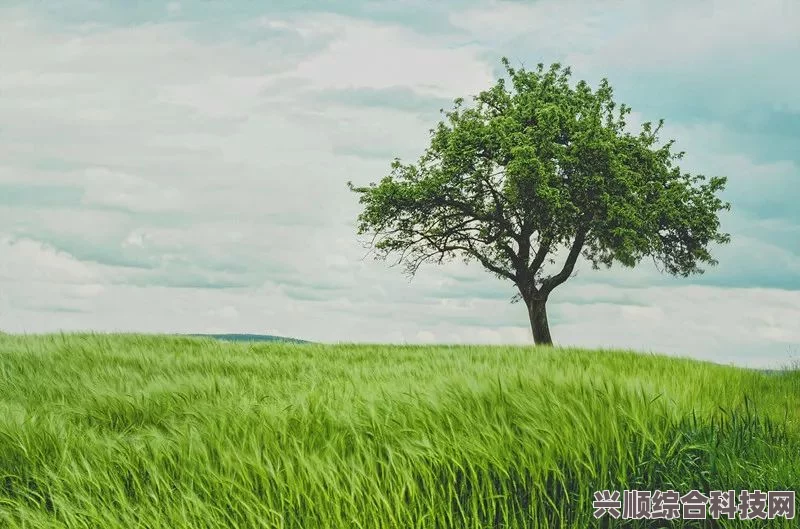 揭秘桃源深处萝卜谜语，什么树最难开花？探寻答案背后的故事