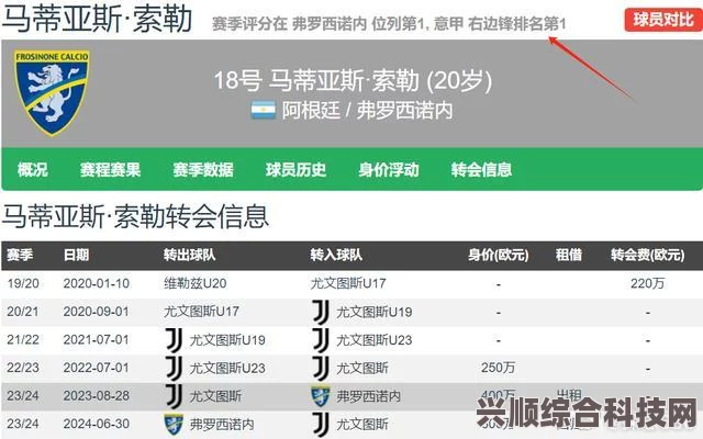 拳击俱乐部2未来展望与发售价格揭秘，热血竞技的升级之旅