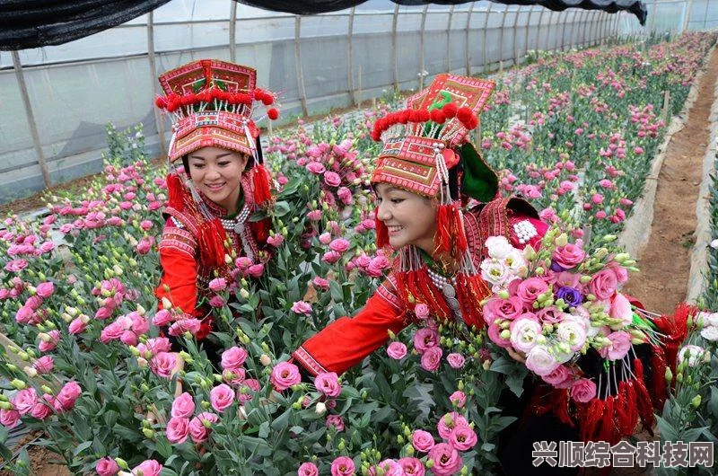 阴阳师寻香行，深度解析与全面介绍
