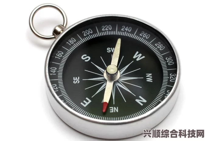 司南，指南针前身之谜与桃源深处的萝卜谜题