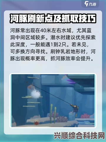 潜水员戴夫河豚高效捕捉攻略，专业技巧解析与实战指南