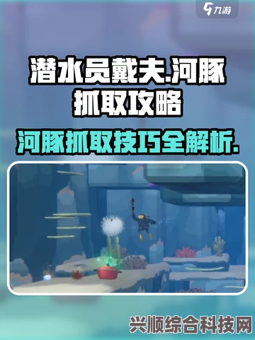 潜水员戴夫河豚抓捕攻略，高效率捕捉技巧解析