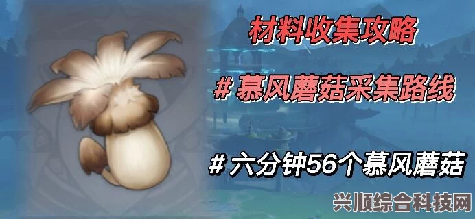 原神3.8版本慕风蘑菇采集攻略，哪里慕风蘑菇多及分布图解析