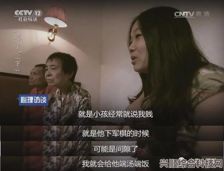 暮色心约剧情深度解读，刘瑕欠债之谜揭秘