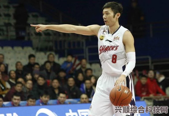 重返未来，特殊活动见证小狗与流浪汉的温暖故事（跨越时空的温情邂逅）