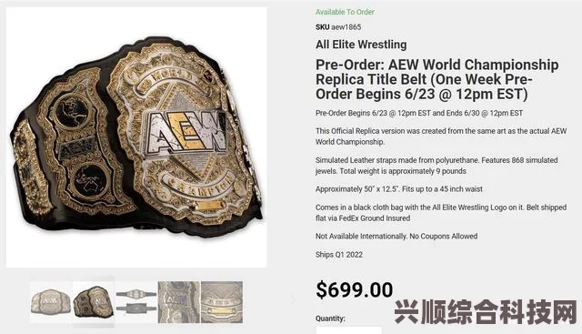 AEW永远的战斗发售价格详解