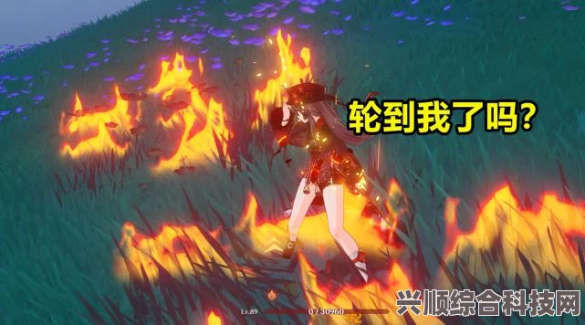 原神琉璃秘境探索，小中见大任务攻略详解与问答汇总