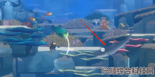 潜水员戴夫三星鲨鱼获取攻略，详细解析获取方法与技巧