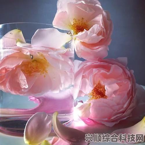 第七史诗神器金玫瑰的用途与效果介绍