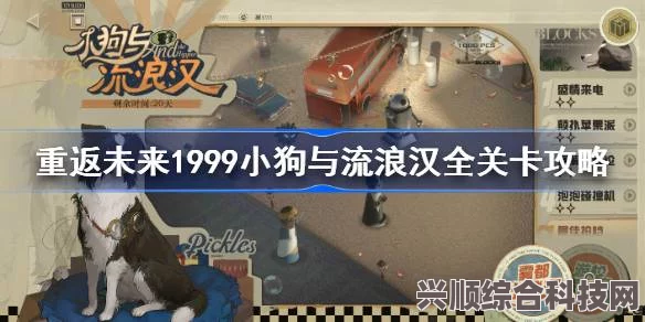 重返未来1999，小狗与流浪汉全关卡攻略详解及问答环节