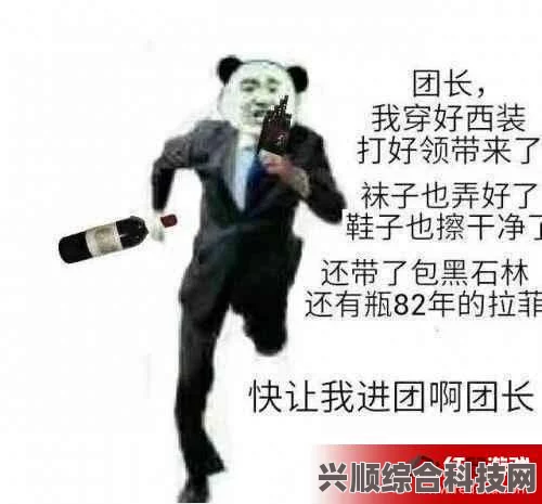 这就是奎桑提，梗的起源与流传
