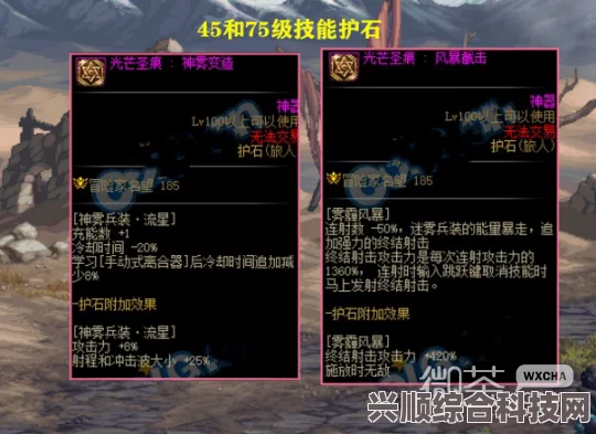 DNF旅人护石深度分析与选择指南