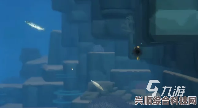 潜水员戴夫海鳝位置揭秘，深海探险之旅