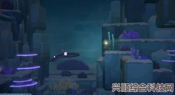 潜水员戴夫海鳝位置揭秘，深海探险之旅