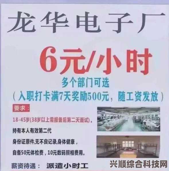 Boss直聘系统崩溃事件，深度解析原因、影响及未来展望