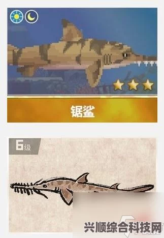 潜水员戴夫遭遇锯鲨危机，应对策略与躲避方法
