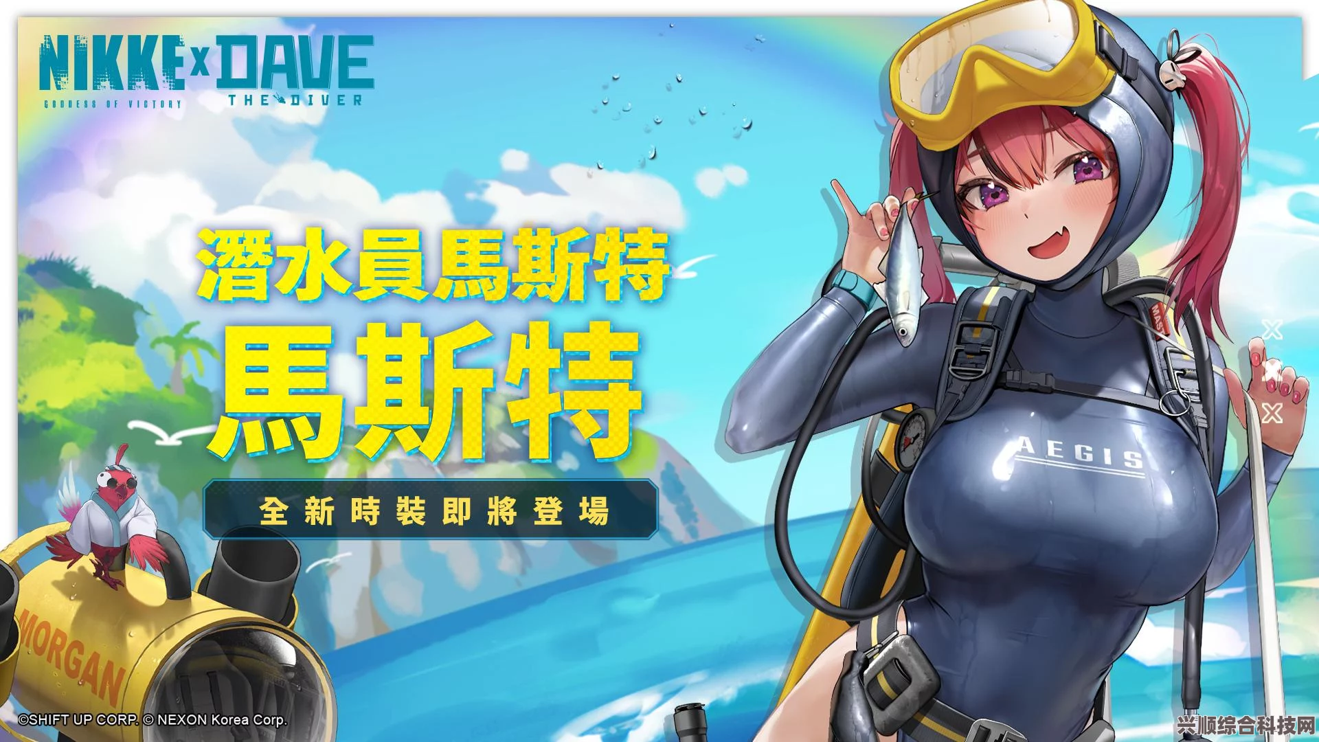 潜水员戴夫全区域养鱼攻略，打造绝美水族馆指南
