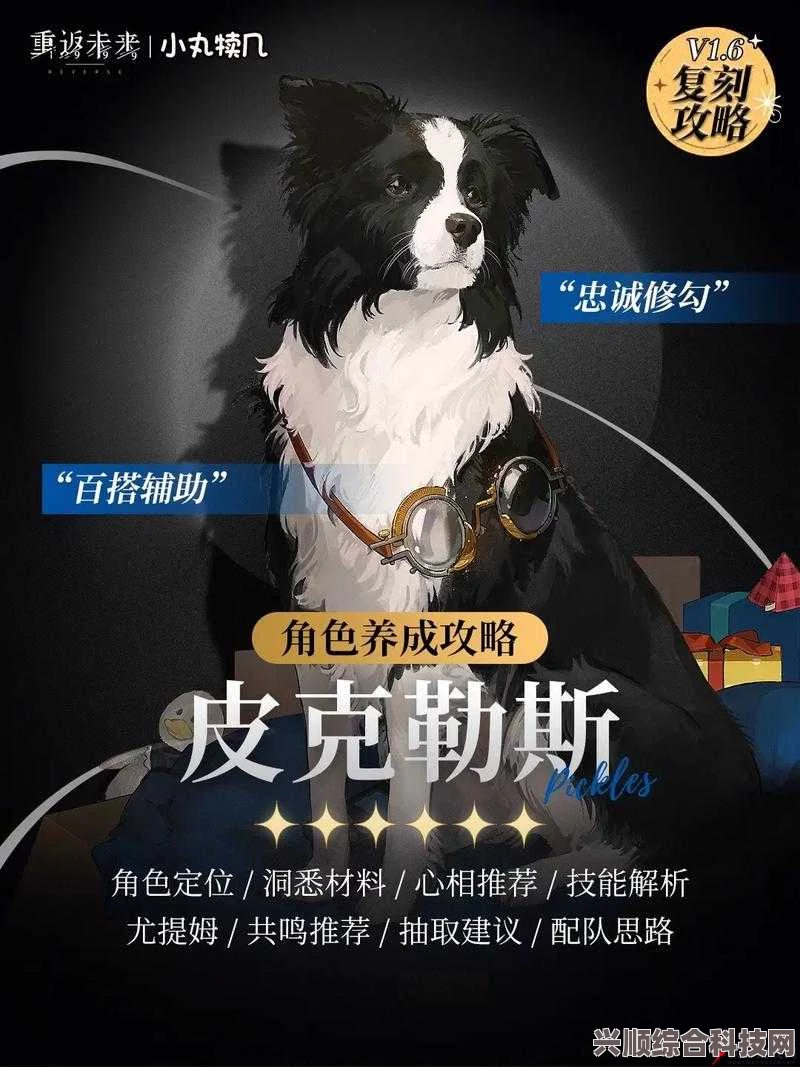 重返未来，未来之门开启，皮克勒斯与牧羊犬的约定揭晓时刻
