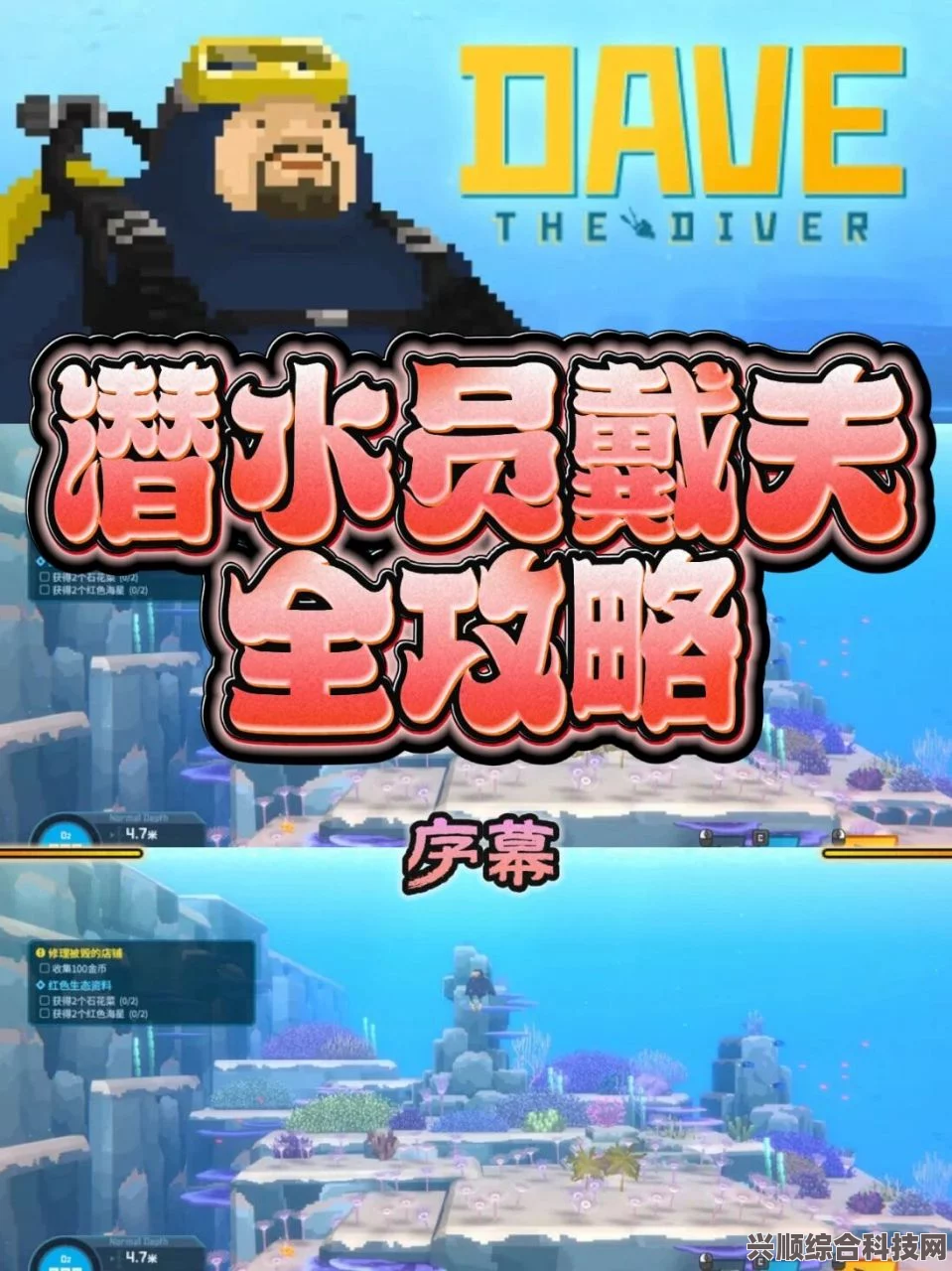 潜水员戴夫服务员属性全面解析