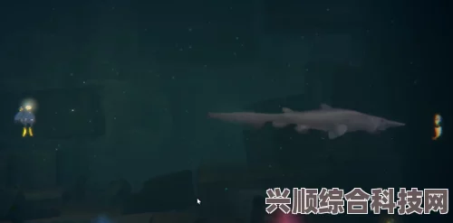 潜水员戴夫，古代鲛人族群的神秘拍照之旅