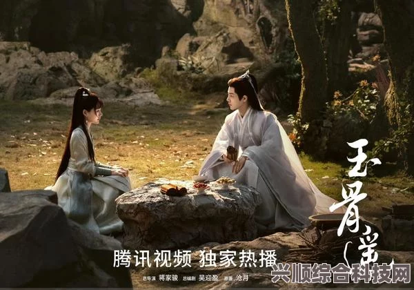 玉骨遥剧情深度解析，电视剧内容全览揭秘