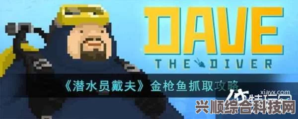 潜水员戴夫鱼叉使用指南，技巧详解与常见问题解答