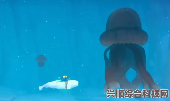 潜水员戴夫澳洲斑点水母位置指南，探寻神秘海洋生物